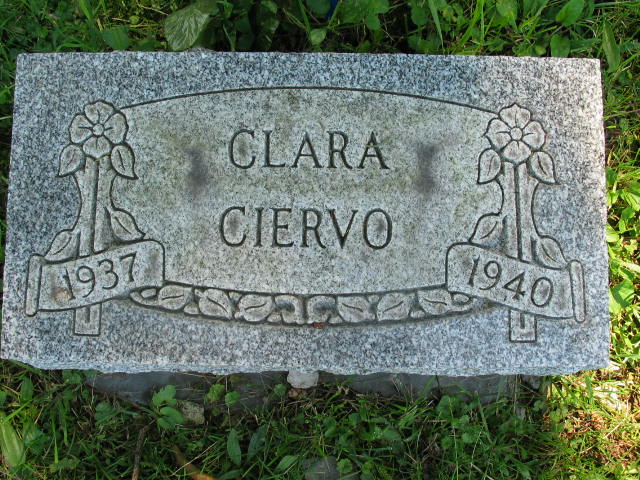 Clara Ciervo